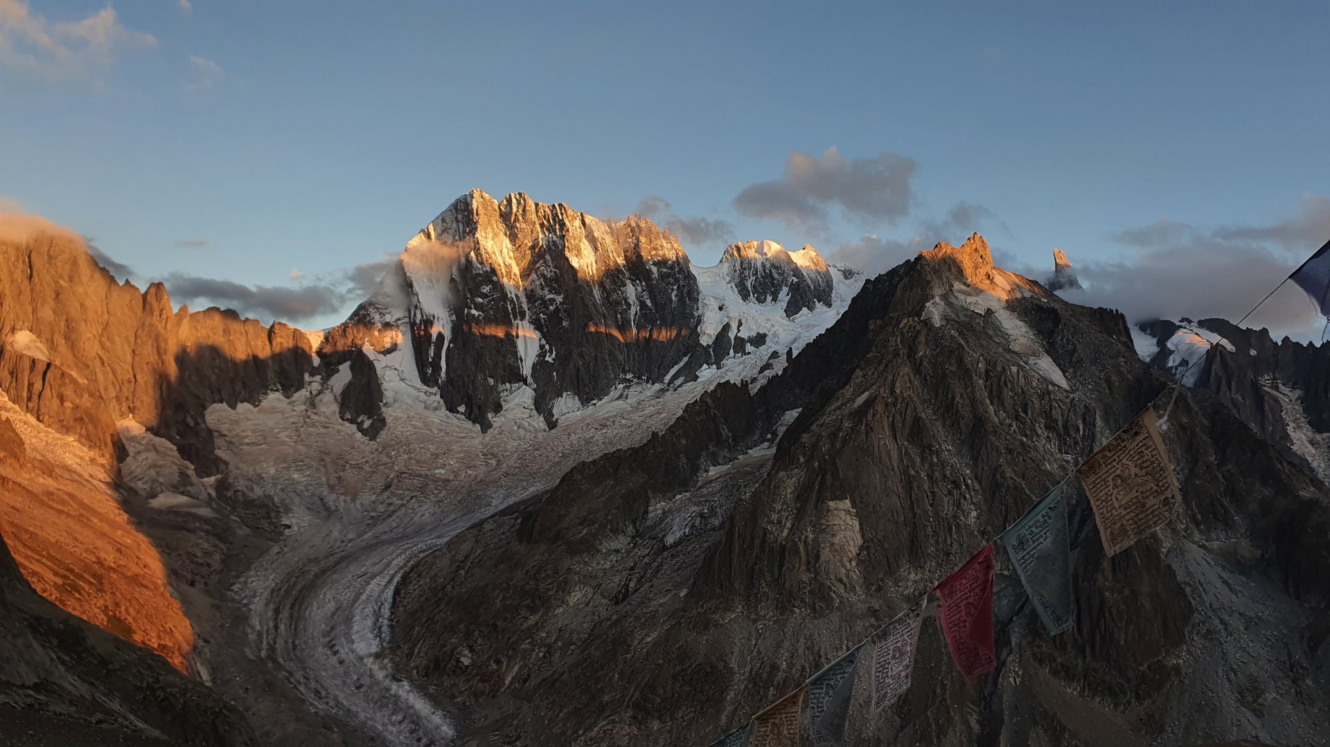 Flore alpine massif du Mont Blanc Jardin de Talèfre
