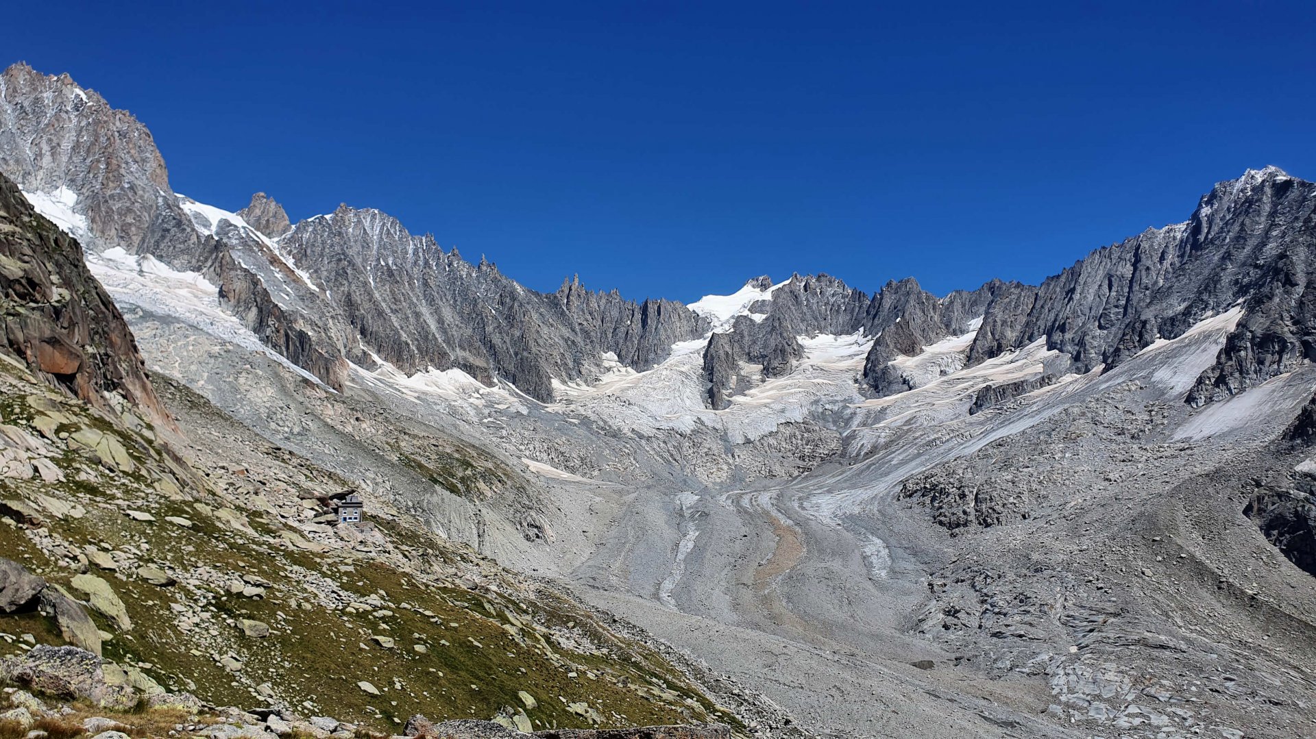 Flore alpine massif du Mont Blanc Jardin de Talèfre